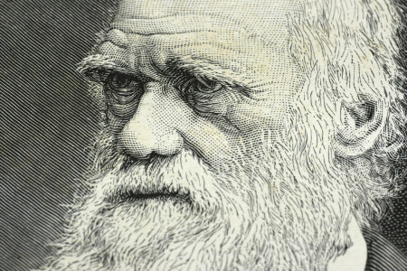 다윈, 그림, 천재, 과학자