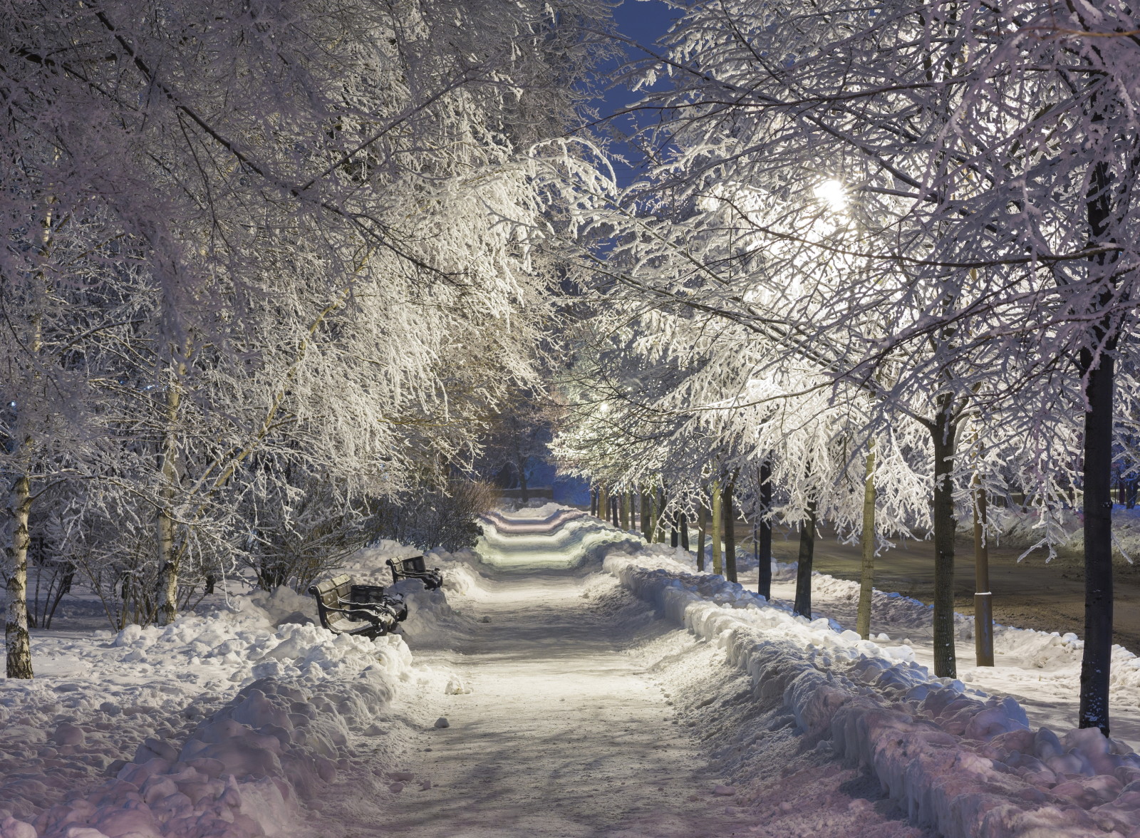 눈, 공원, 겨울, 밤