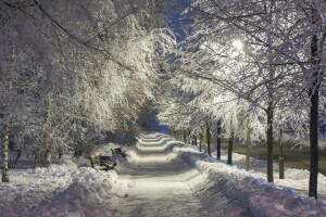 夜, パーク, 雪, 冬
