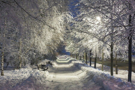 夜, パーク, 雪, 冬