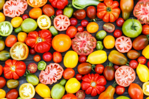 収穫, トマト, 野菜