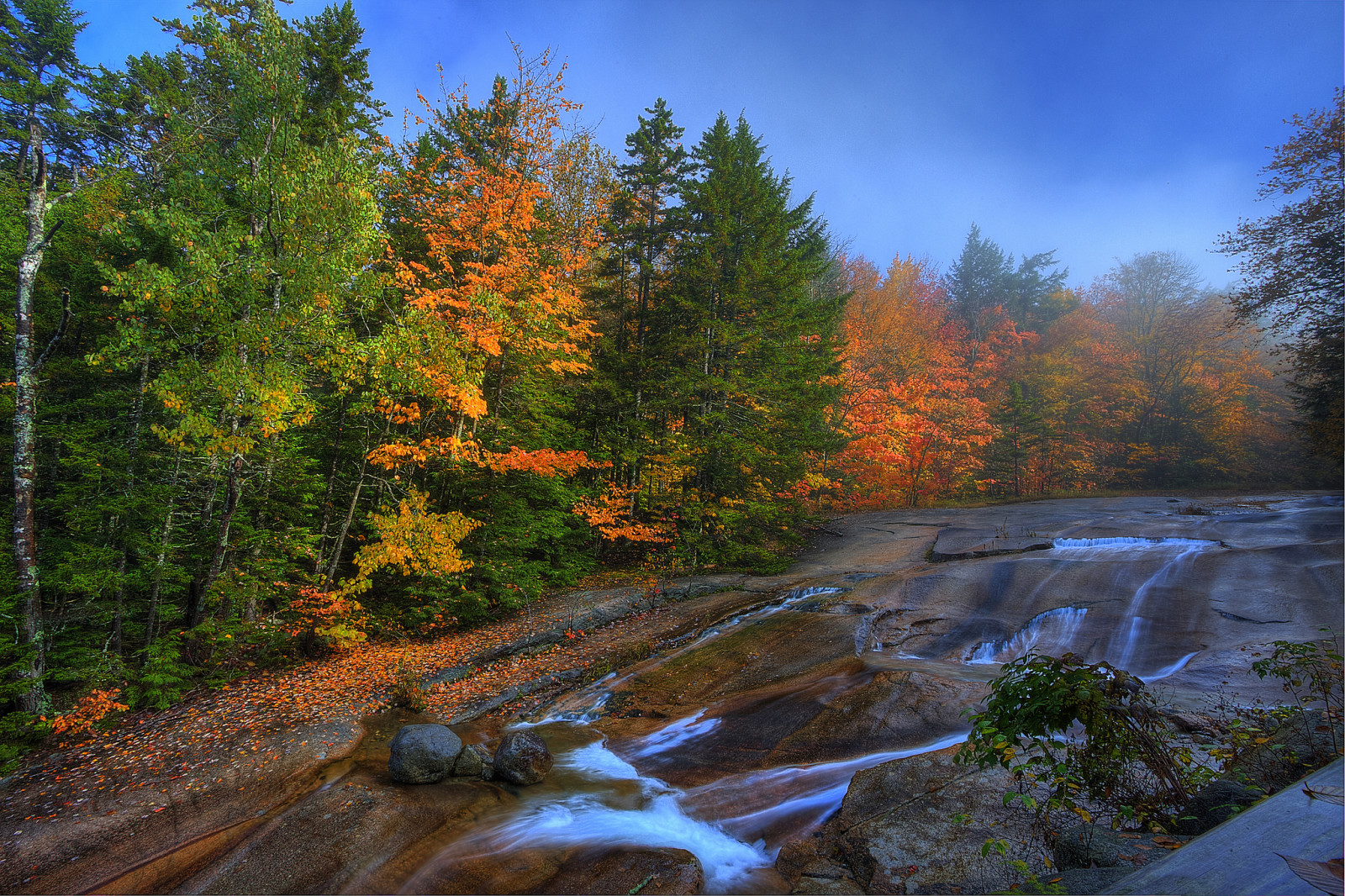 秋季, 森林, 天空, 河, 石头, 树木, 岩石