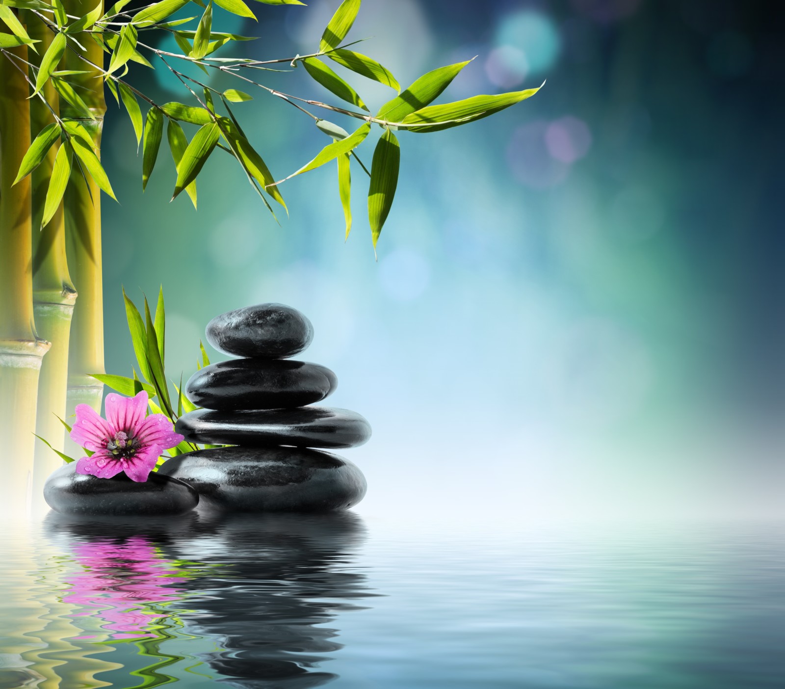 refleksi, batu, air, bunga, bambu, Anggrek, Spa, Zen