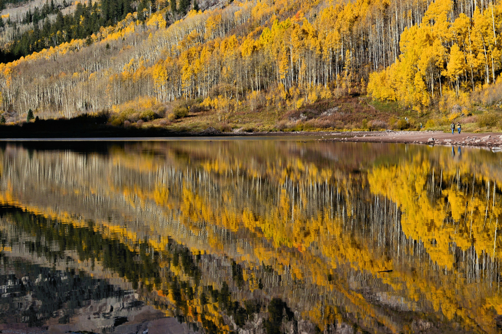 musim gugur, danau, refleksi, pohon, orang-orang, lereng