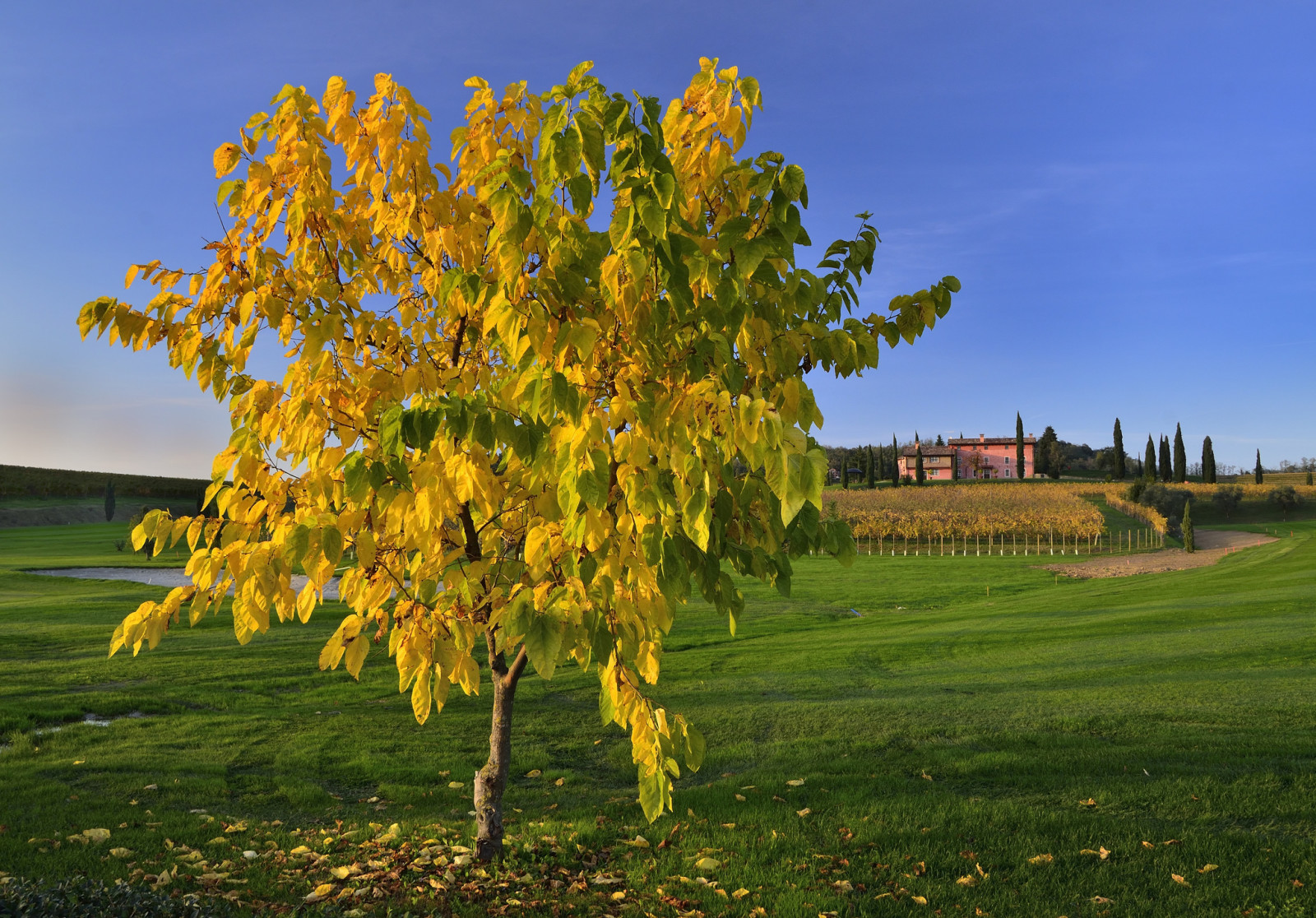 pohon, musim gugur, rumput, langit, bidang, rumah, Daun-daun, Italia