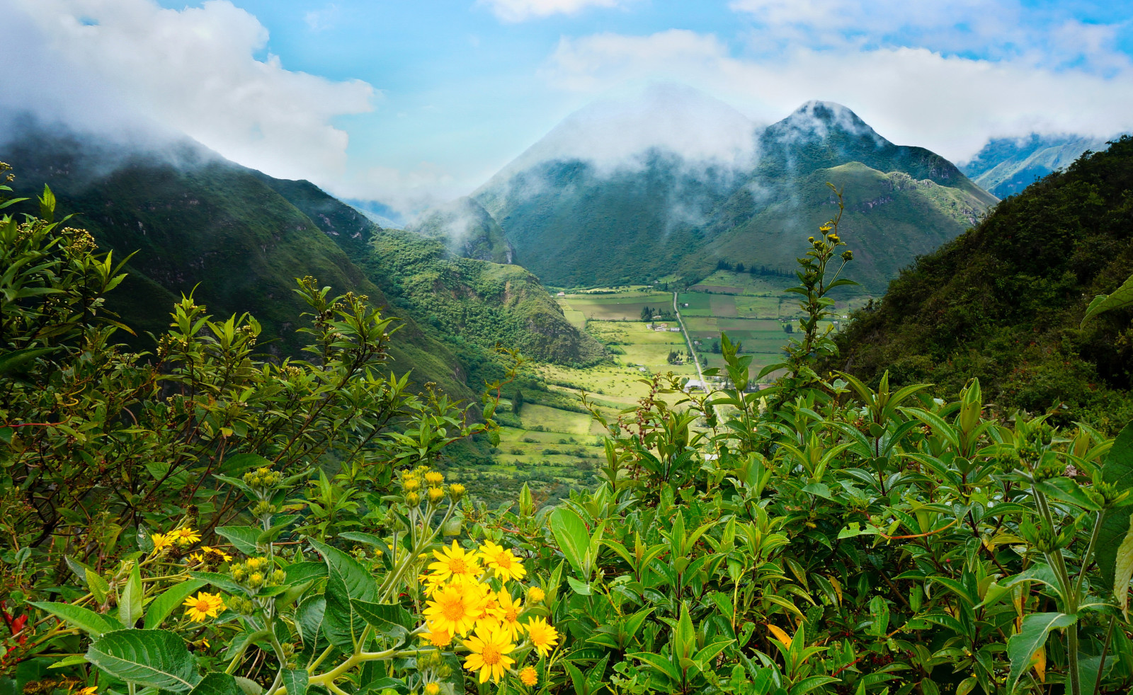 rau xanh, cánh đồng, những đám mây, núi, thung lũng, bụi cây, Ecuador, Pululahua
