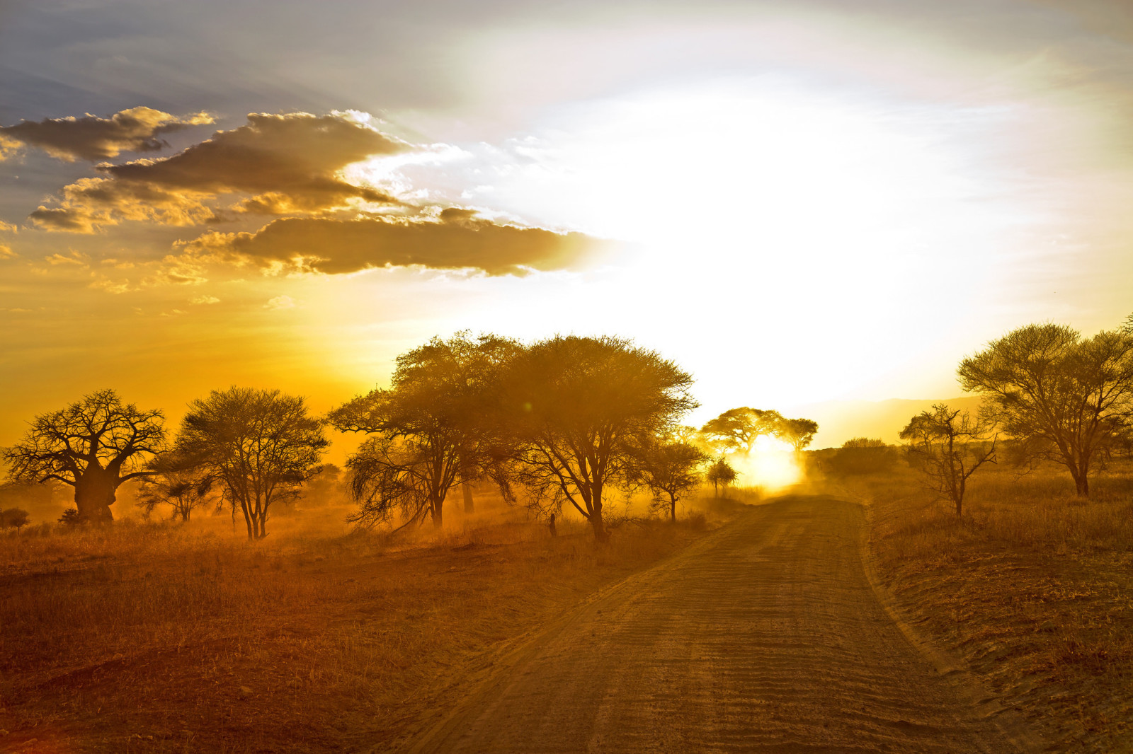 pemandangan, jalan, pagi, Afrika
