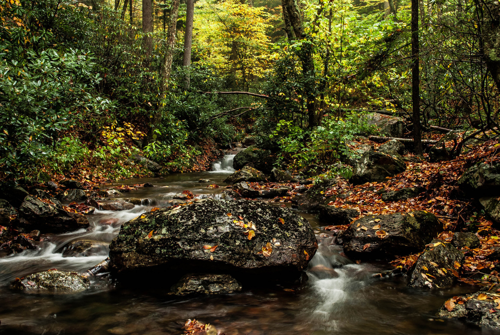 mùa thu, rừng, con sông, đá