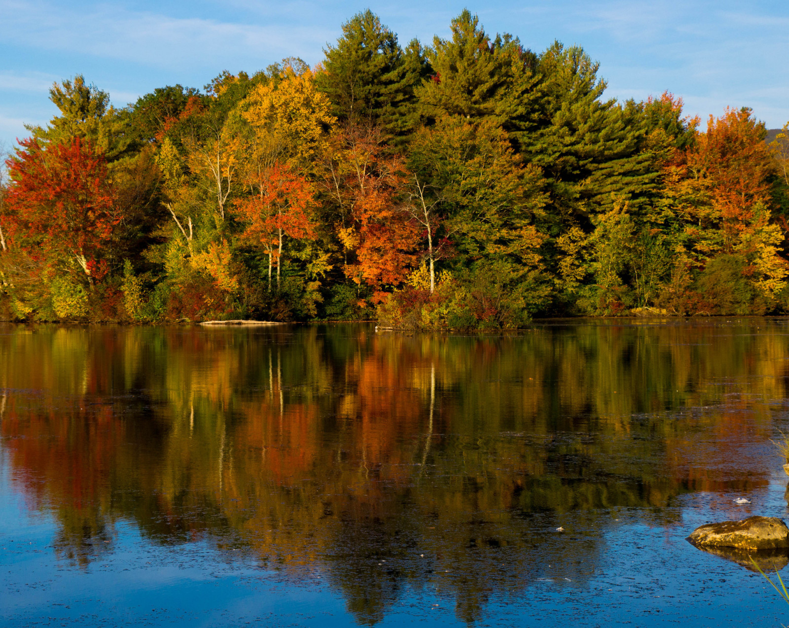 가을, 숲, 하늘, 강, 호수, 나무, 물