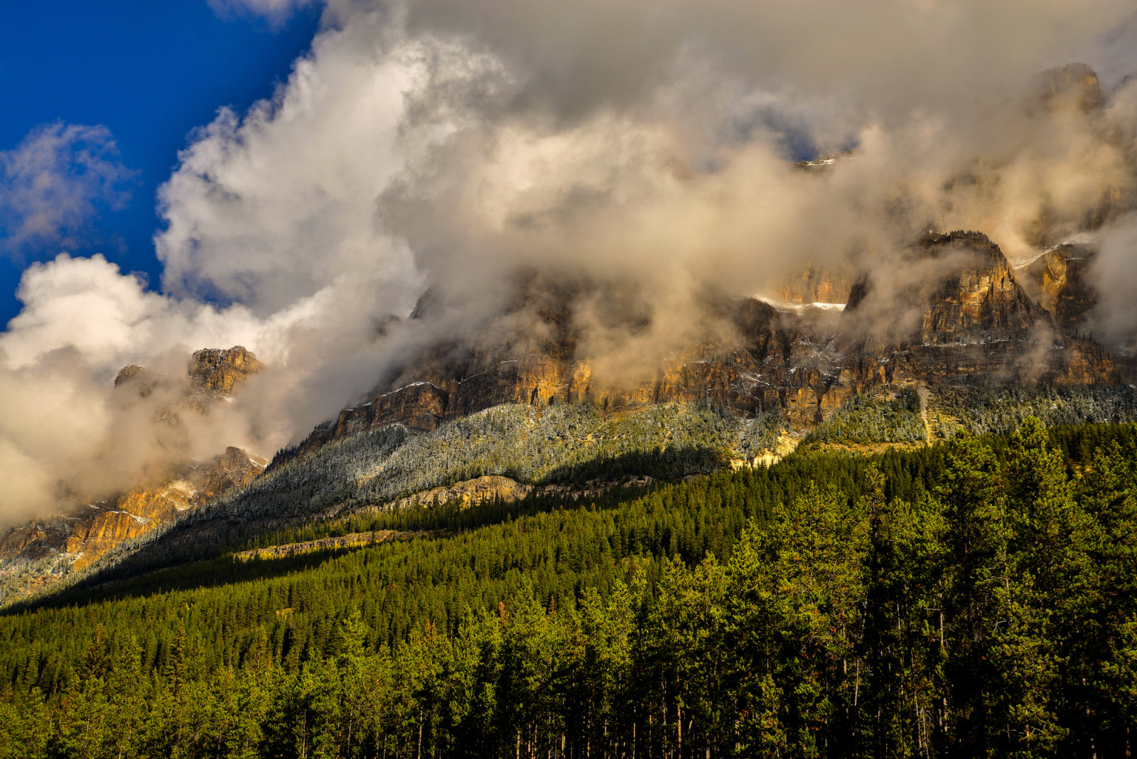 hutan, pohon, Kanada, awan, gunung, Taman Nasional Banff, batu, Banff