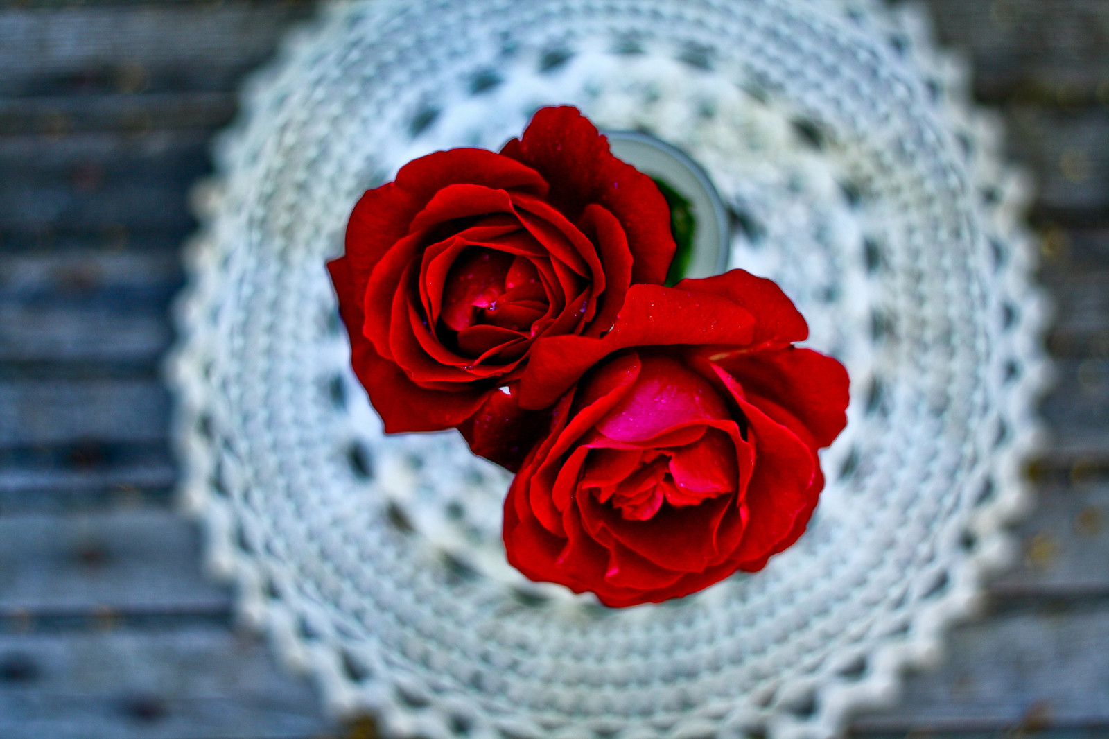 巨集, 玫瑰花, 餐巾