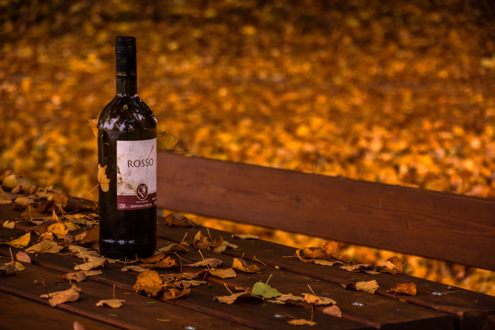 秋, ワイン, ベンチ