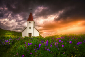 Gereja, bunga-bunga, Islandia, lupin, padang rumput, matahari terbenam, Vic, Vik di Myrdal