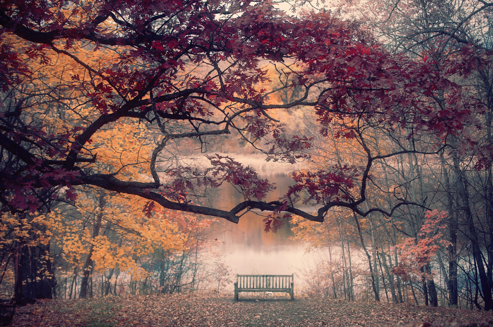 秋季, 河, 板凳