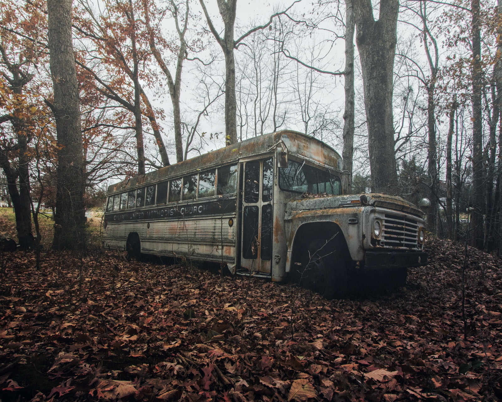 가을, 이파리, 버스