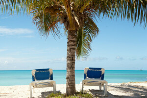 海滩, 躺椅, 棕榈, 帕尔玛, 砂, 海, 留, 夏季