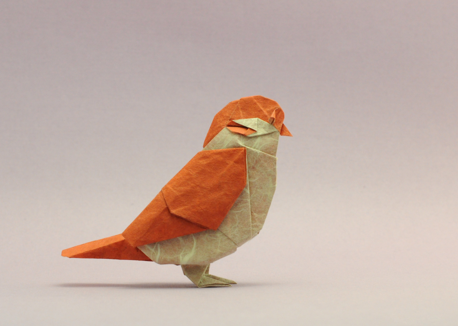 chim, origami, Chim sẻ