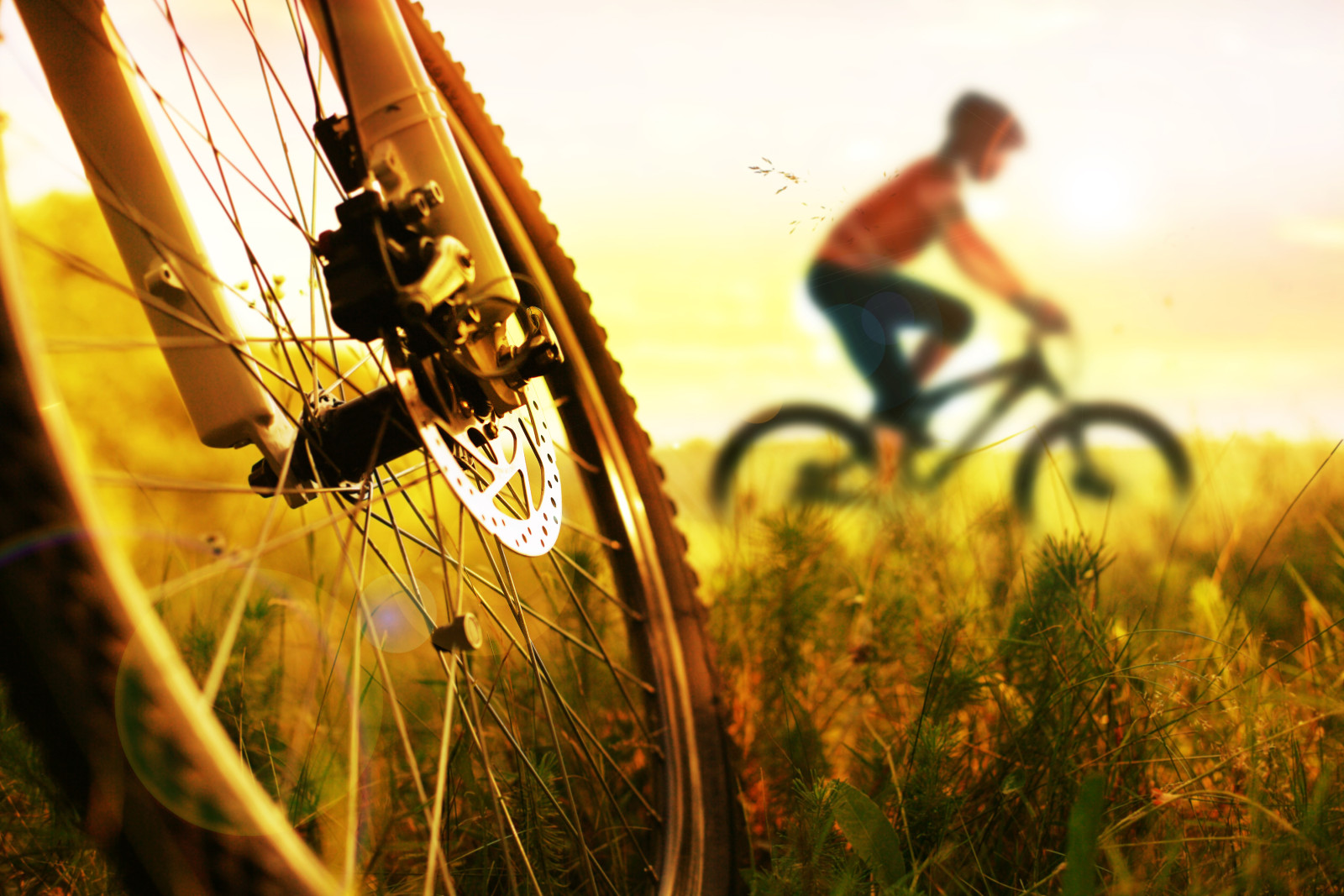 matahari terbenam, kaki, sepeda, Bersepeda