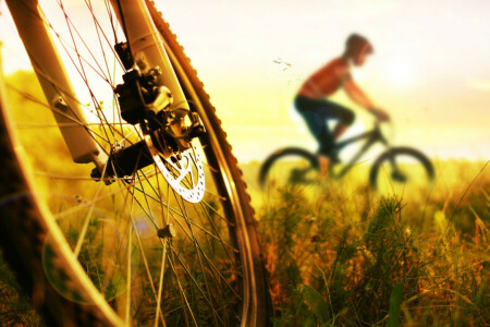 自転車, サイクリング, 足, 日没