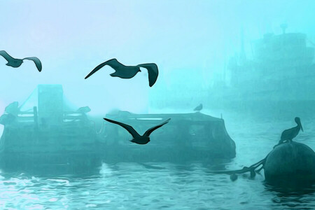 鳥, 霧, 港, 輸送する