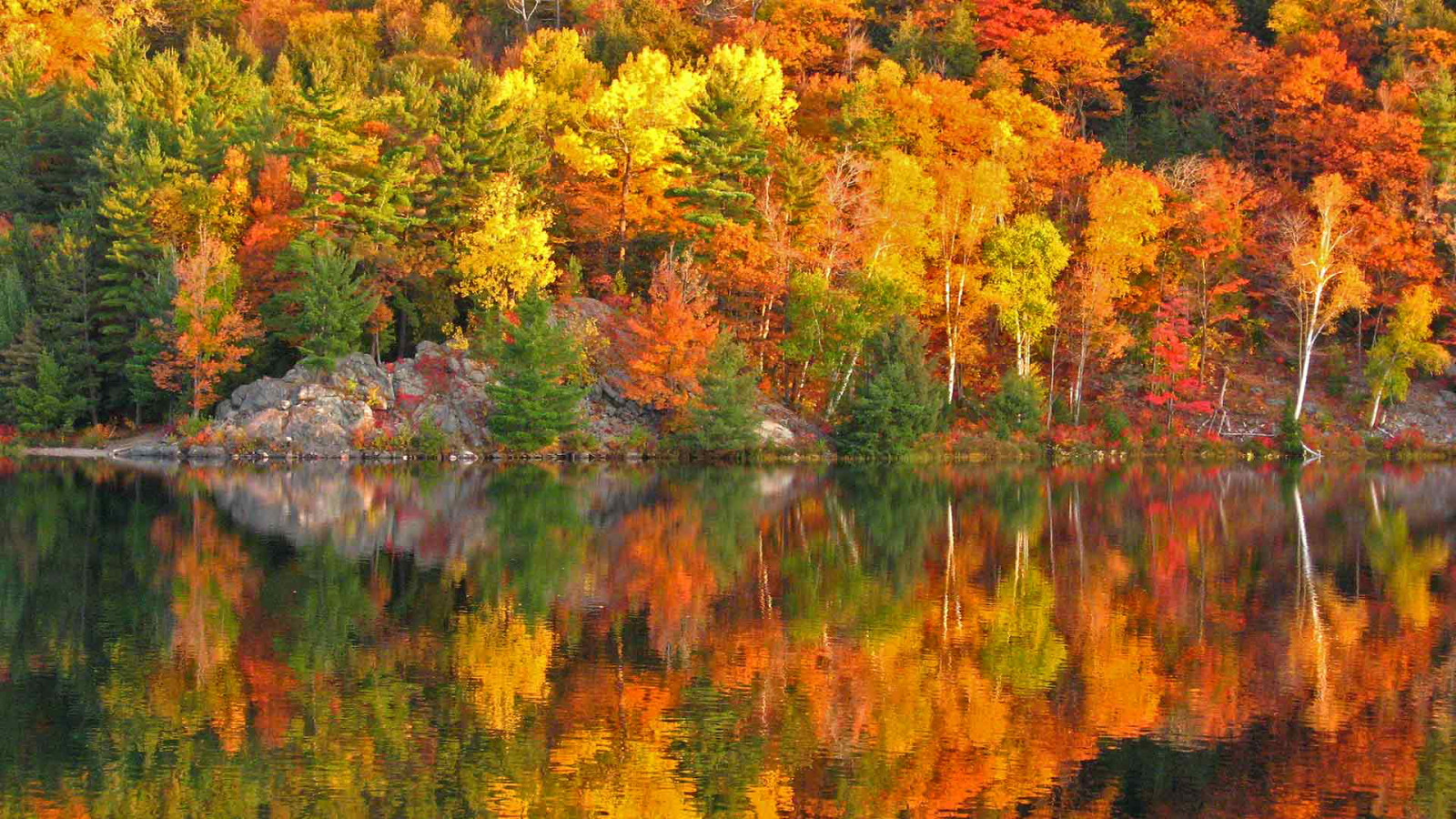 秋季, 反射, 树木, 加拿大, 岩石, 涂料, 坡, 安大略省
