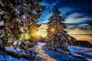 森林, 風景, 光線, 雪, 太陽, 木, 冬