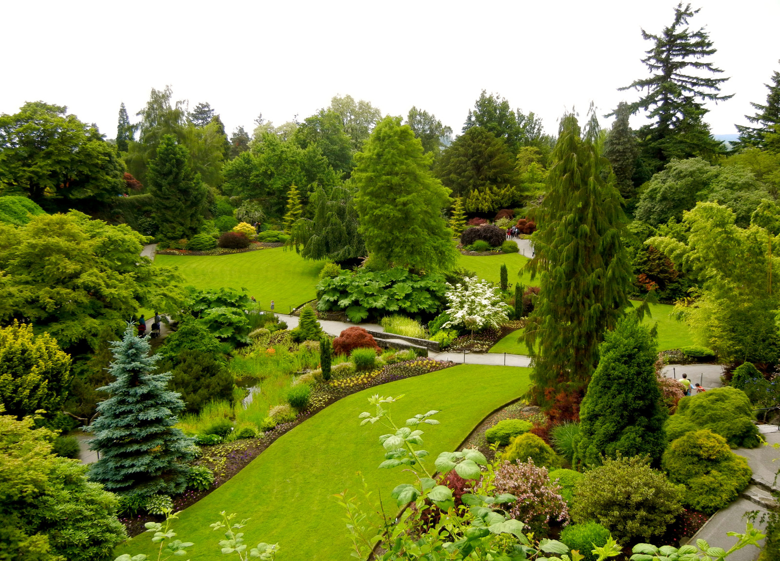Taman, pohon, Kanada, sayuran hijau, halaman rumput, semak-semak, rancangan, Vancouver