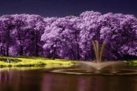 湖, 風景, 紫の, 風景, 木