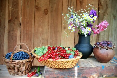 장과, 블루 베리, 건포도, 꽃들, 구스베리, 정물, 여름