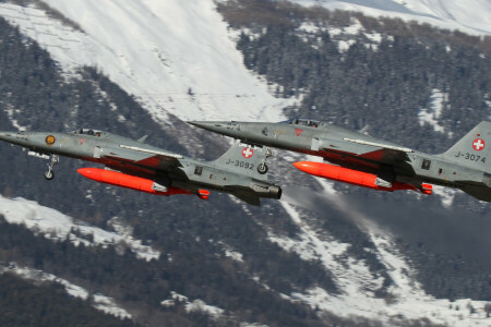 F-5E, 파이터, 다목적, 타이거 II