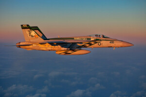 สำรับ, F-18, นักมวย, เที่ยวบิน, นักบิน, Super Hornet