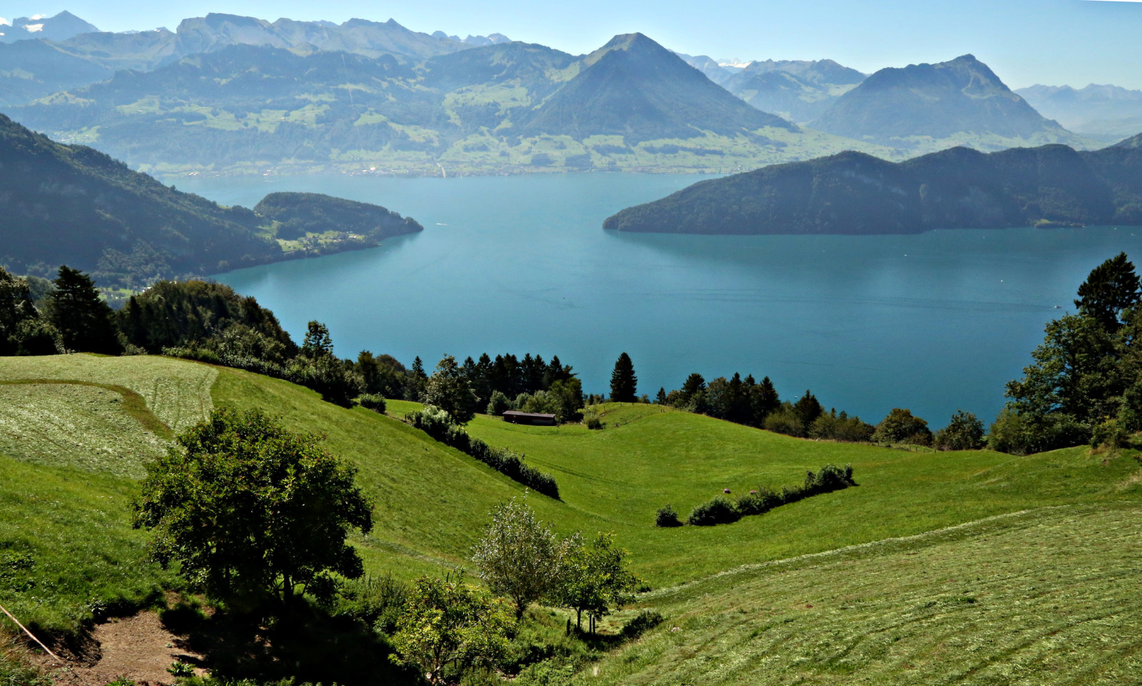 스위스, 호수, 들, 산, 초원, 루체른 호수