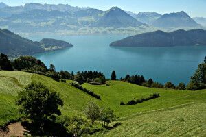들, 호수, 루체른 호수, 초원, 산, 스위스