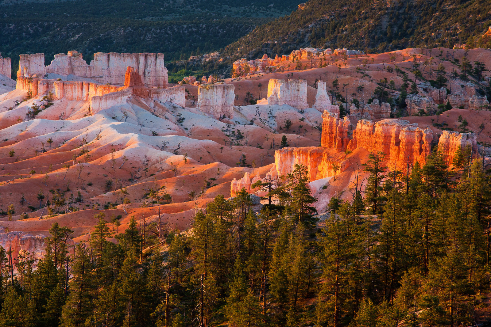 matahari terbenam, pohon, gunung, Utah, Amerika Serikat, batu