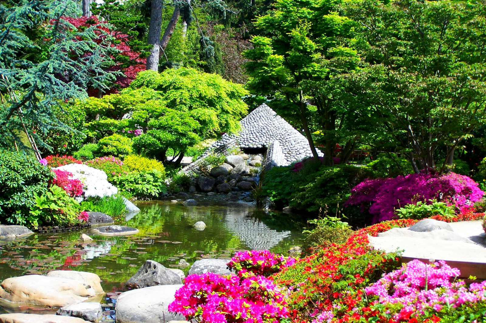 돌, 나무, 꽃들, 프랑스, 못, 정원, 덤불, 앨버트 칸 일본 정원