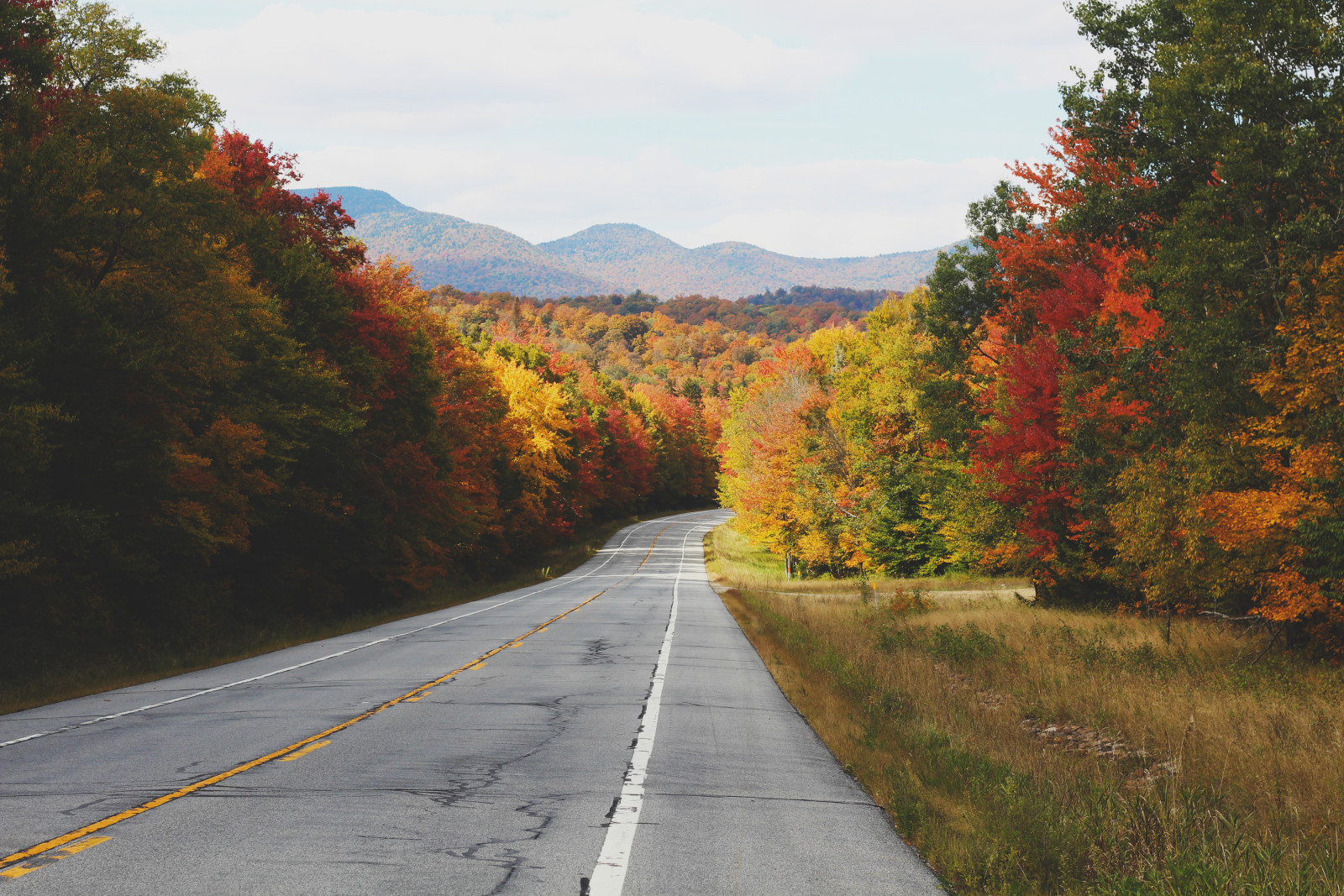 秋季, 路, 树木, 丘陵, 沥青
