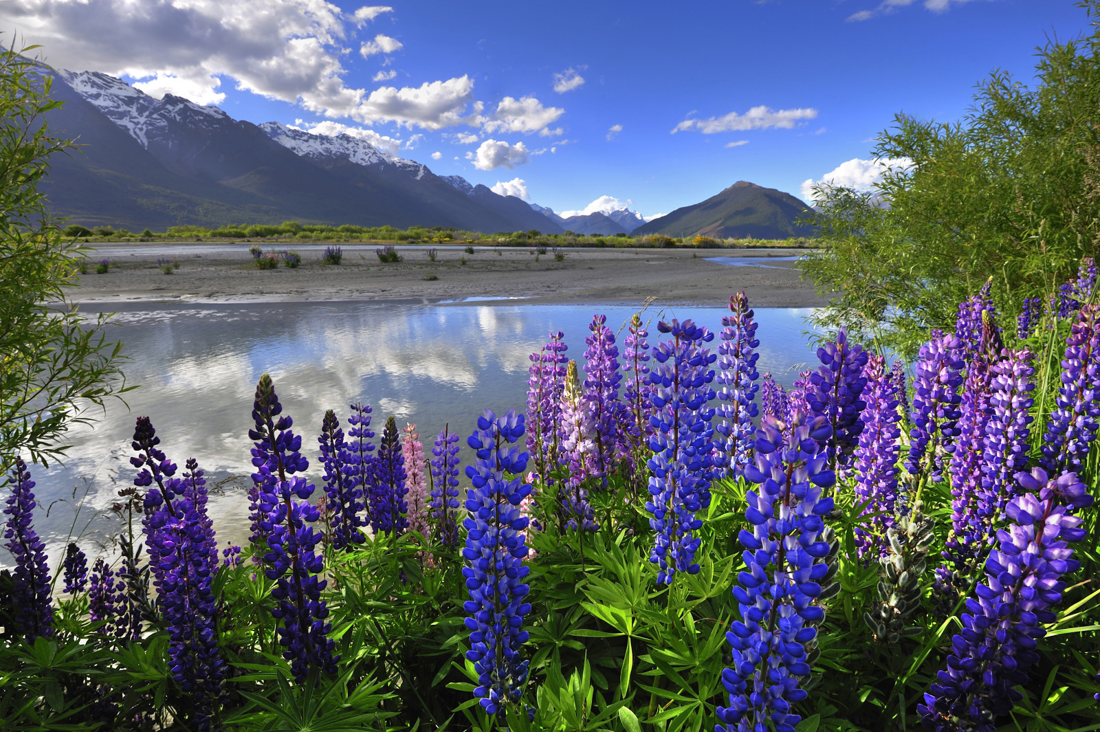 hồ, những đám mây, núi, New Zealand, Lupin