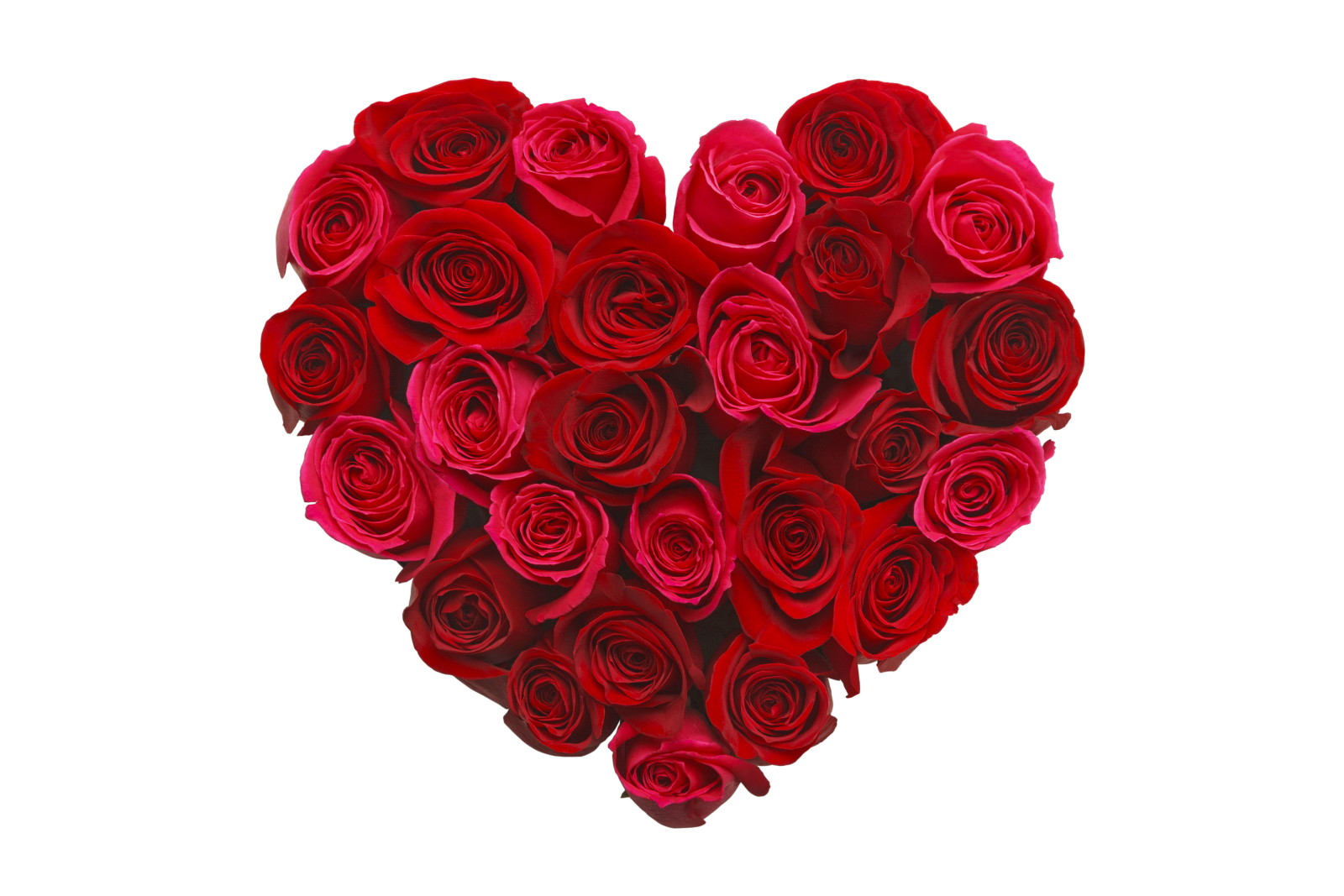 cinta, romantis, mawar, bunga-bunga, jantung, tunas