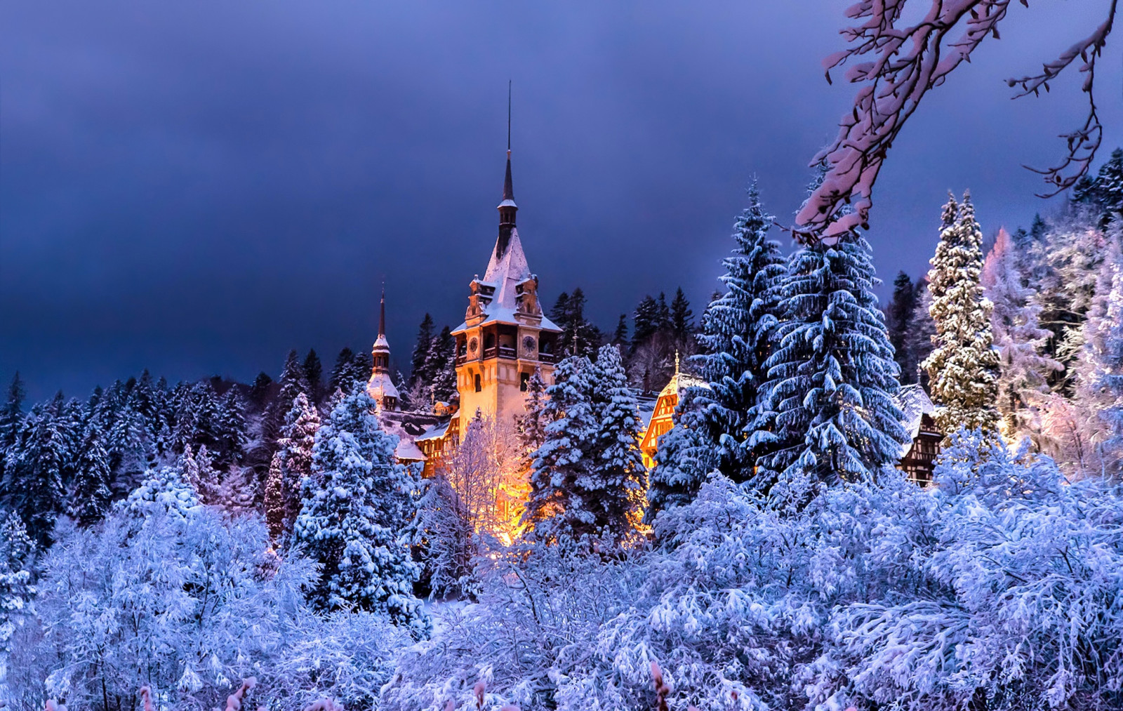 ป่า, ตอนเย็น, ฤดูหนาว, โรมาเนีย, แหลมไซไน, ปราสาท Peles