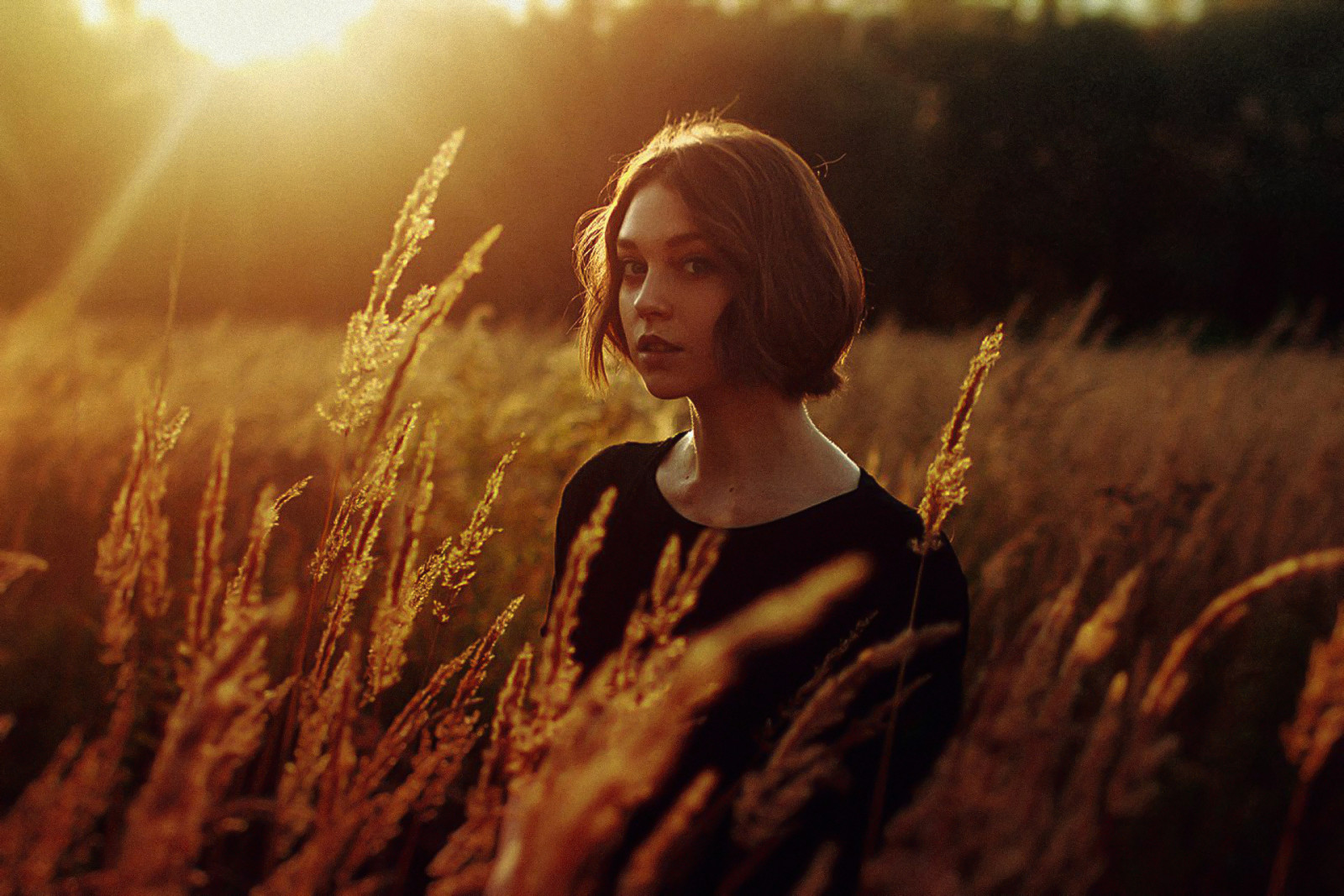 con gái, phản ánh, cánh đồng, xinh đẹp, tóc, mặt trời, đôi tai, Olga Pushkina