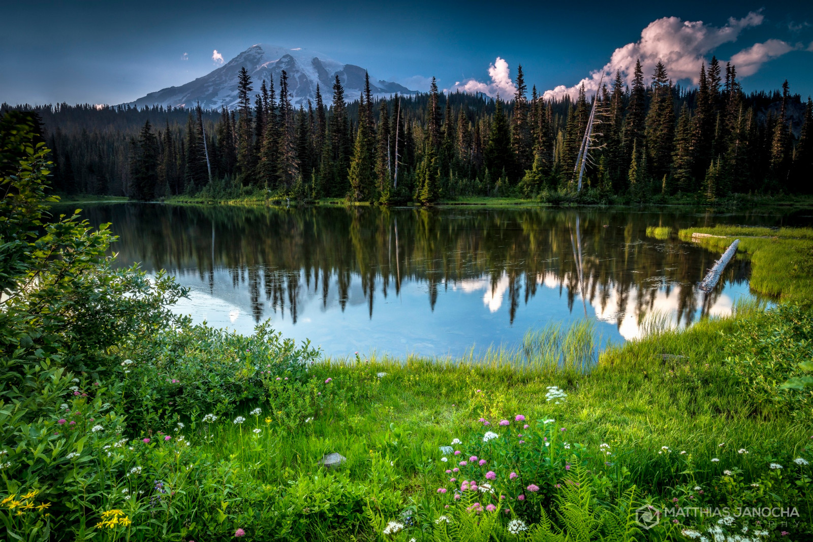 hutan, musim panas, Gunung, danau, bunga-bunga, Amerika Serikat, Washington, negara