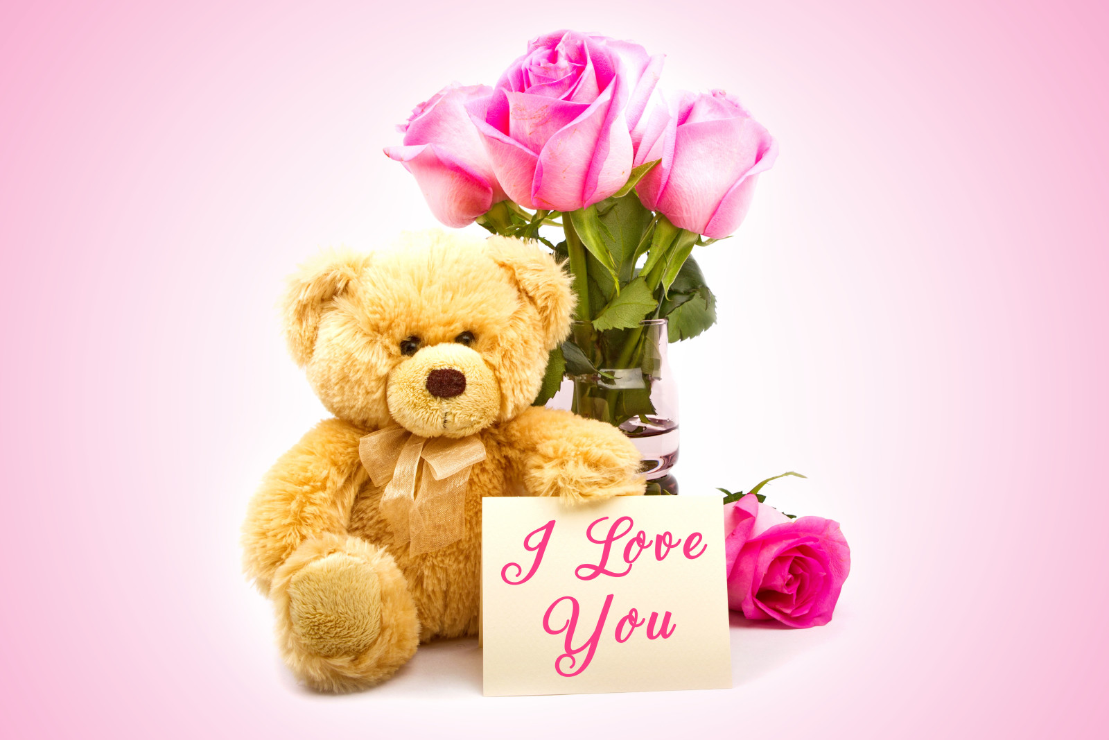 爱, 浪漫, 情人节, 礼品, 玫瑰花, 熊, 心, 泰迪熊