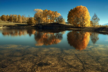 湖, 風景, 自然, 木