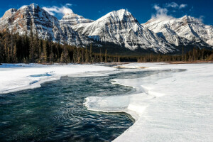อัลเบอร์ต้า, แคนาดา, ป่า, น้ำแข็ง, อุทยานแห่งชาติแจสเปอร์, ภูเขา, แม่น้ำ, หิมะ