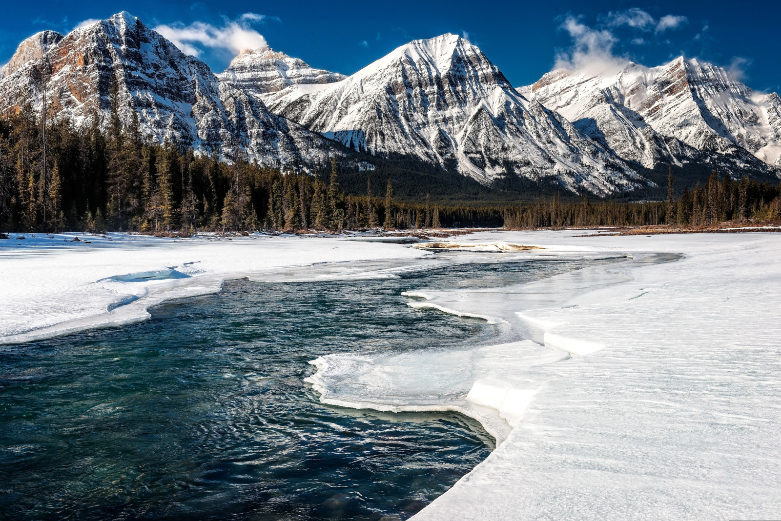 หิมะ, ป่า, แม่น้ำ, น้ำแข็ง, ฤดูหนาว, แคนาดา, อัลเบอร์ต้า, อุทยานแห่งชาติแจสเปอร์