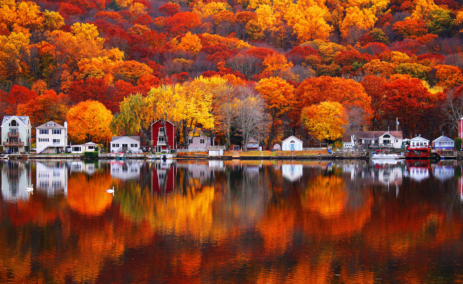 秋, 自然, 湖, 反射, 木, ホーム, 葉, ペイント