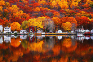秋, ホーム, 湖, 葉, 自然, ペイント, 反射, スロープ