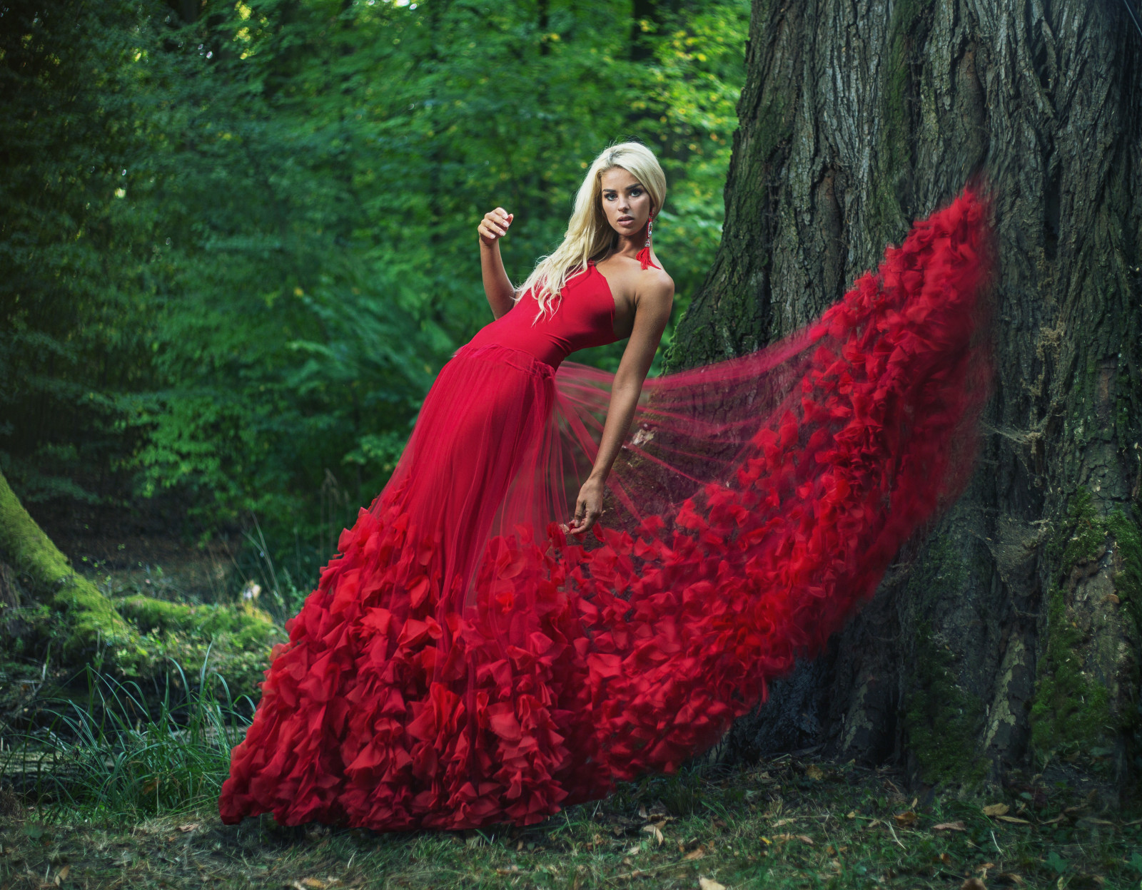 pohon, pose, model, gaun, gaun merah