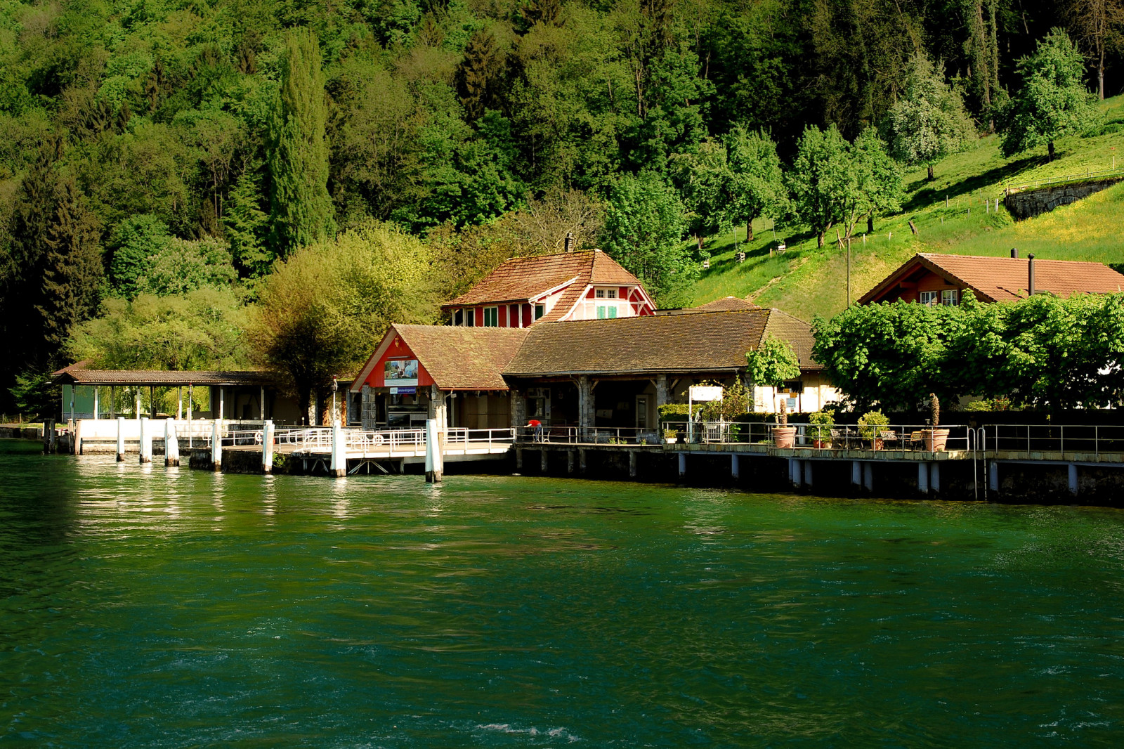 Thụy sĩ, hồ, bờ biển, cây, dốc, bến tàu, Nhà, Lucerne