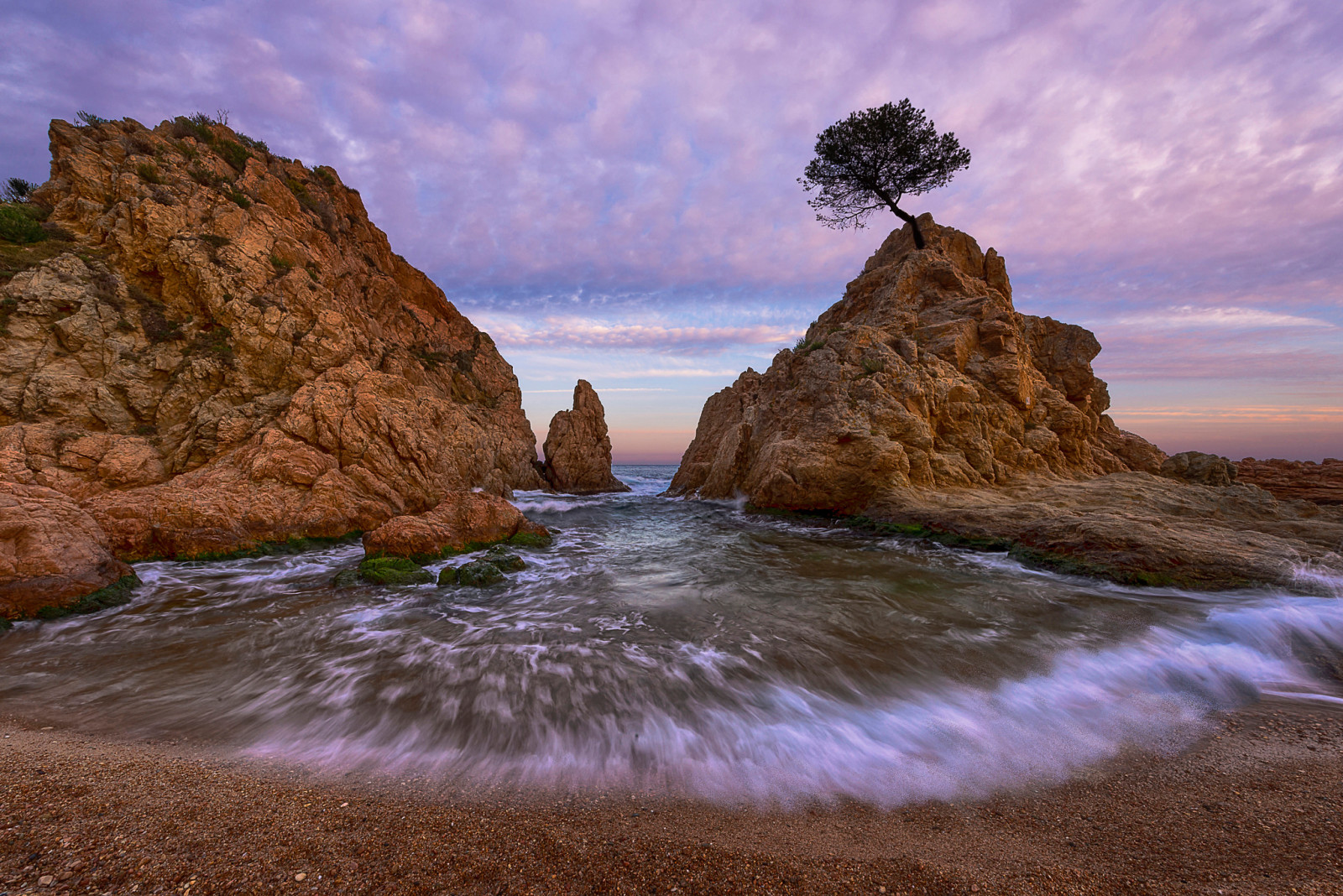 pohon, pantai, laut, batu, Spanyol